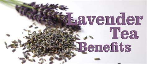 lavender-tea-benefits-and-side-effects-kent-tea image