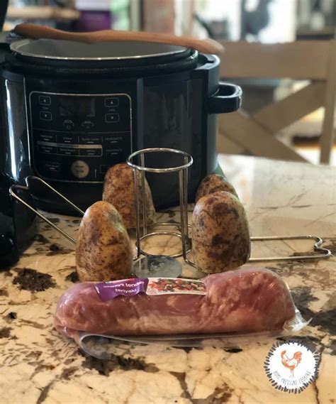 juicy-pork-tenderloin-in-the-ninja-foodi-pressure-cooker image