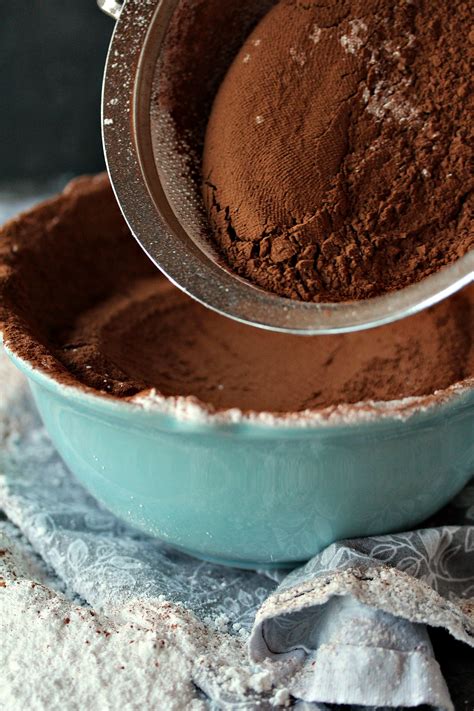 homemade-hot-cocoa-mix-recipe-cravings-of-a-lunatic image