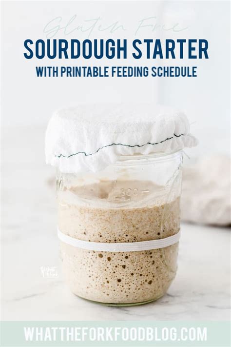 how-to-make-sourdough-starter-gluten-free-what-the image