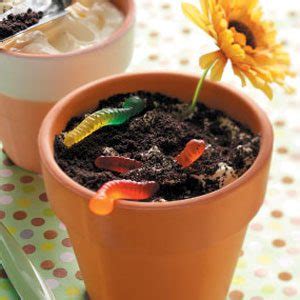dirt-cake-recipe-how-to-make-it-taste-of-home image