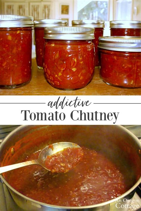 easy-addictive-tomato-chutney-recipe-regular-lower-sugar image