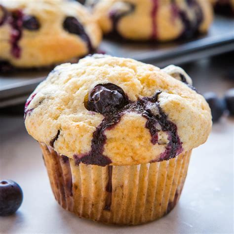 best-ever-blueberry-muffins-the-busy-baker image