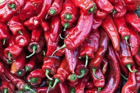 chili-pepper-wikipedia image