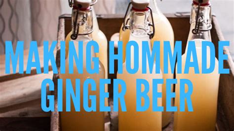 how-to-brew-ginger-beer-how-to-home image