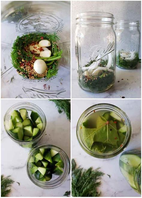 crunchy-refrigerator-pickles-quick-easy image