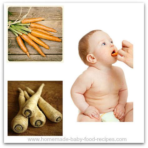 babys-parsnip-and-carrot-puree-the-homemade image