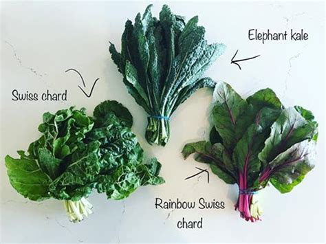 spinach-kale-swiss-chard-hail-mary-food-of-grace image
