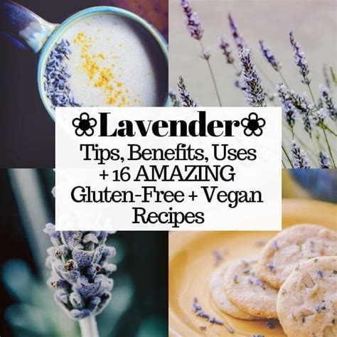 19-best-lavender-recipes-moon-and-spoon-and-yum image