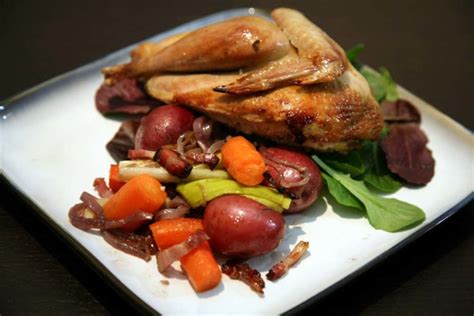 roasted-whole-pheasant-how-to-cook-meat image