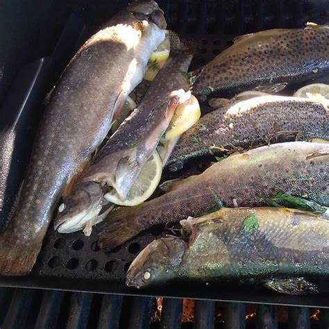 whole-grilled-trout-allrecipes image