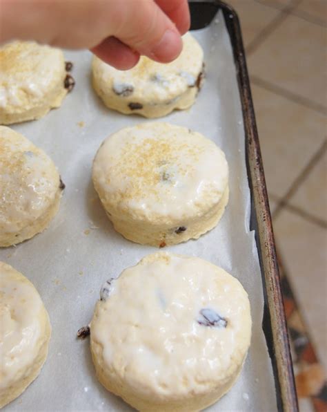 raisin-scones-english-scones-baking-sense image