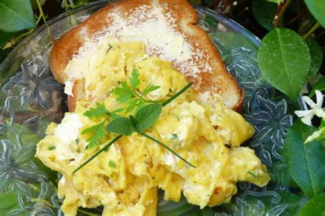 herb-cream-cheese-scrambled-eggs-recipe-foodcom image