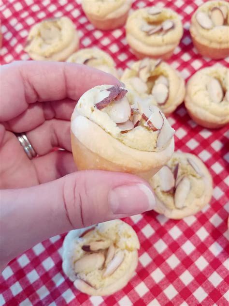 almond-tassies-miniature-holiday-pies-jetts-kitchen image