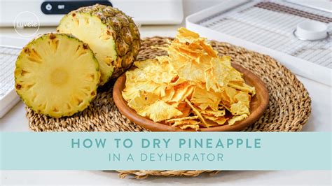 how-to-dry-pineapple-in-a-dehydrator-youtube image
