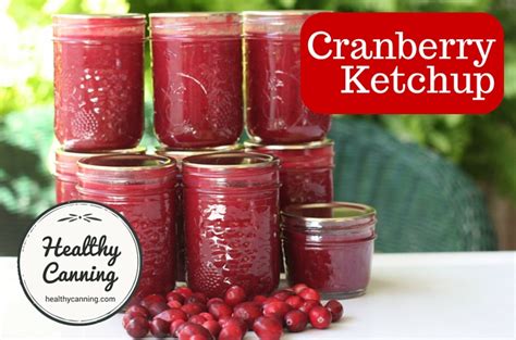 cranberry-ketchup-healthy-canning image