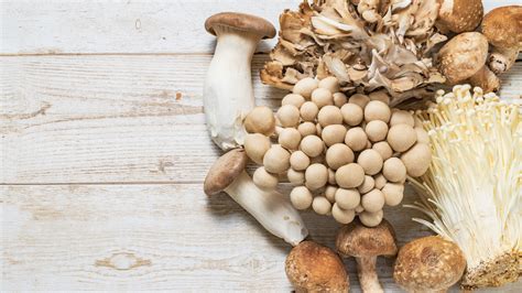 14-edible-mushroom-varieties-and-how-to-cook-with-mushrooms image