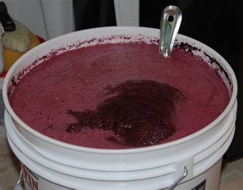 homemade-blackberry-wine-recipe-in-4-easy-steps image