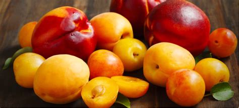 what-is-stone-fruit-top-16-stone-fruits-their-benefits image