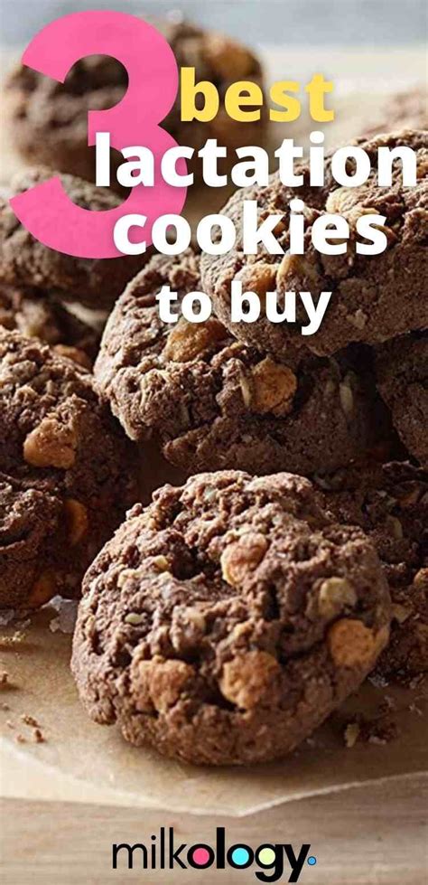 the-3-best-lactation-cookies-to-buy-2022 image