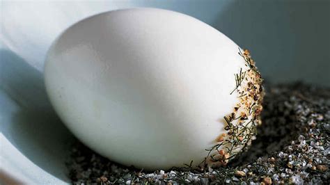 how-to-make-perfect-hard-boiled-eggs-martha-stewart image