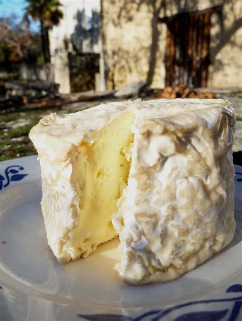 the-top-10-french-cheeses-david-lebovitz image