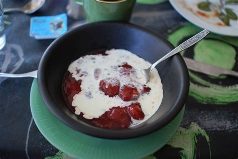 danish-red-berry-pudding-rdgrd-med-flde-the image