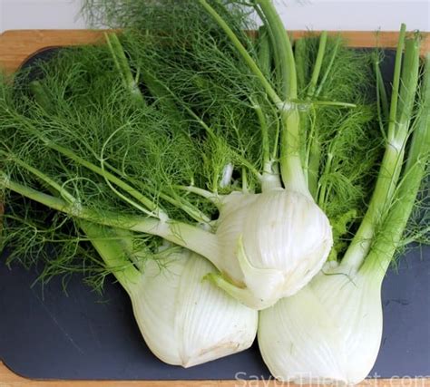 braised-fennel-savor-the-best image