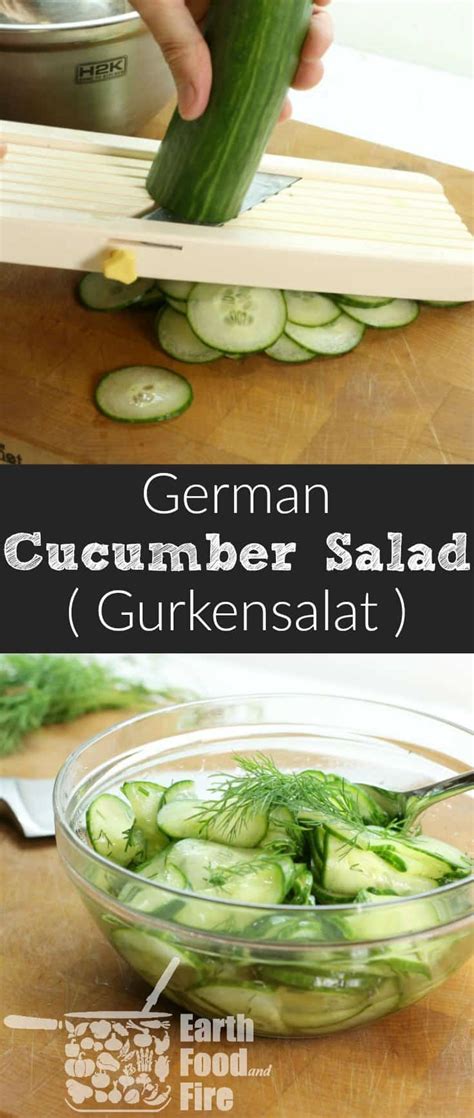 german-cucumber-salad-gurkensalat-earth-food image