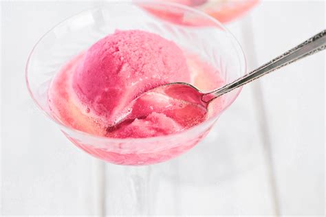 raspberry-champagne-sorbet-3-ingredients-the-view image