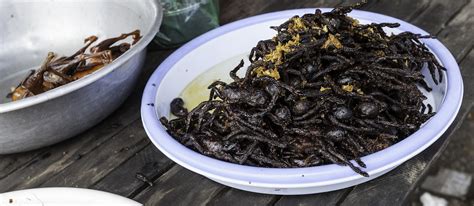 fried-spider-traditional-street-food-from-skun-cambodia image