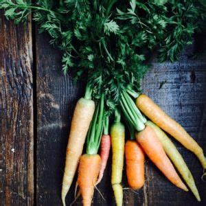 carrot-top-soup-fresh-fork-market image