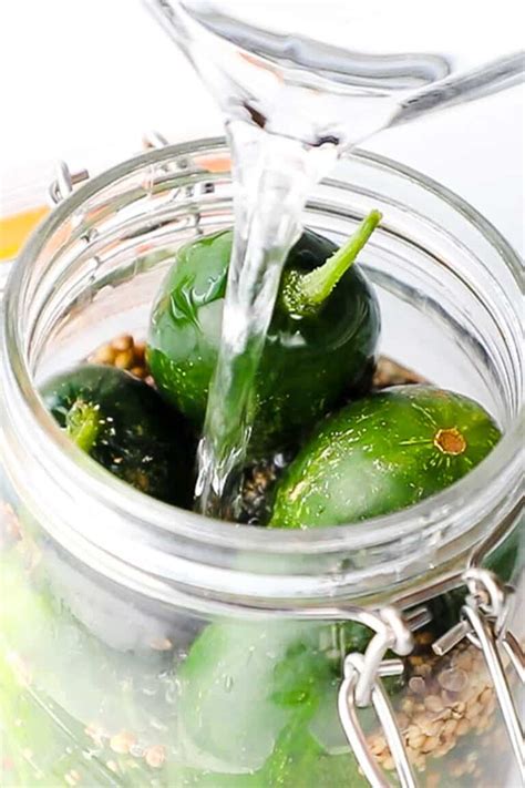 half-sour-refrigerator-pickles-errens-kitchen image