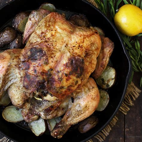 tarragon-lemon-roast-whole-chicken-seasons-and image