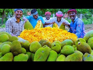 jackfruit-cutting-eating-jackfruit-recipe-cooking-in image