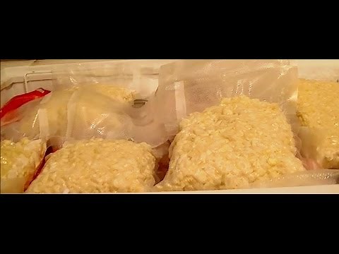 how-to-freeze-corn-using-your-food-saver-plus image